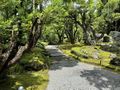 2025年8月1日 (金) 19:16時点における版のサムネイル