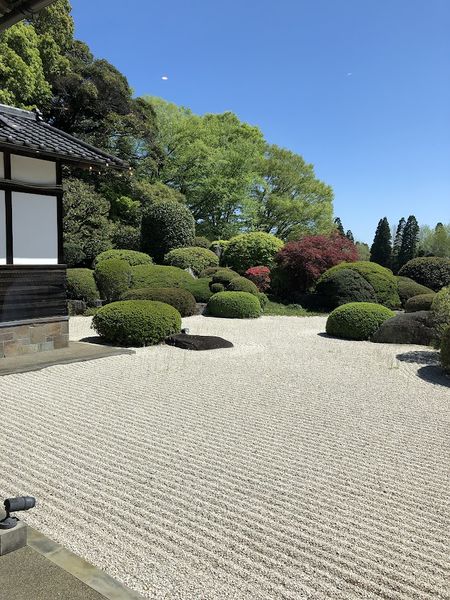 ファイル:リソルの森 館内03.jpg