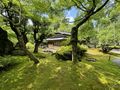 2025年8月1日 (金) 19:16時点における版のサムネイル