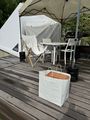 2025年8月1日 (金) 19:16時点における版のサムネイル
